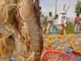 Trung Quốc không còn đình chỉ doanh nghiệp có hàng dương tính SARS-CoV-2