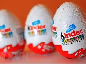 Kết quả điều tra sơ bộ vụ chocolate của Ferrero nhiễm khuẩn salmonella