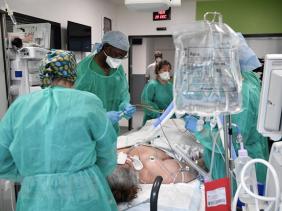 WHO cảnh báo có hơn 500 dòng phụ của biến thể Omicron đang lưu hành