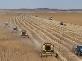 Nguy cơ thiếu hụt lương thực toàn cầu do xung đột Iran