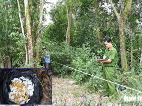 Vụ nổ súng cướp tiệm vàng ở Trà Vinh: Thu hồi hơn 80 chỉ vàng tang vật