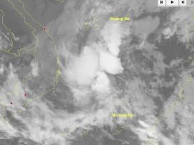 Vùng áp thấp có thể mạnh lên, các tỉnh Bình Định đến Kiên Giang thông báo ngay tàu thuyền