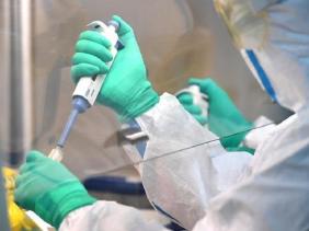 Chuyên gia Trung Quốc: Kháng thể COVID-19 đã có trong cơ thể có tác dụng với chủng mới XBB