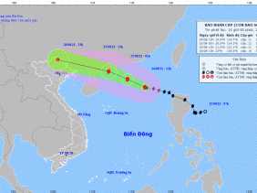 Từ chiều 25/8, ven biển Quảng Ninh- Hải Phòng khả năng có gió giật cấp 6-7