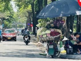 Bắc Bộ và Hà Nội sáng sớm có sương mù, trưa chiều nắng 29-32 độ C