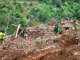 Vụ 19.000m² rừng bị triệt hạ ở Lâm Đồng: Đình chỉ công tác một Chủ tịch xã