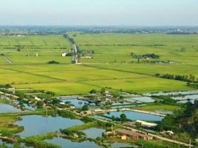 Sửa quy định đấu giá quyền sử dụng đất