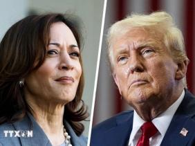 Bầu cử Mỹ 2024: Ông Trump sẵn sàng tranh luận 3 lần với bà Harris