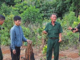 Vụ án 6 cựu chiến binh 'hủy hoại rừng' ở Đắk Nông: Ra tù, 6 cựu chiến binh lại bị truy tố