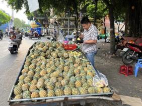 Ăn dứa để phòng chống bệnh tim mạch, ung thư, nhưng ai không nên ăn?