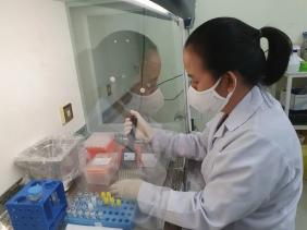TP.HCM ngăn bệnh đậu mùa khỉ ra sao?