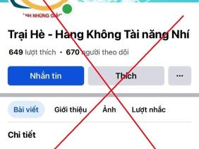Dùng hình ảnh trái phép của Vietnam Airlines lừa một phụ nữ 2,6 tỉ đồng