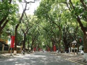Cả nước nắng đẹp trong ngày Tết ông Công, ông Táo
