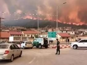 Cháy rừng lan rộng tại Algeria gây nhiều thương vong
