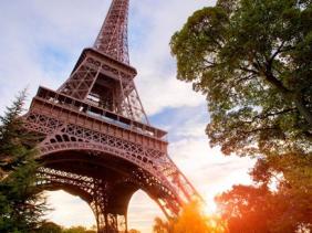 Pháp: Hàng chục nghìn người phản đối kế hoạch chặt cây gần tháp Eiffel