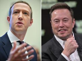 Tỉ phú Elon Musk chê đối thủ Mark Zuckerberg nhát gan, đòi đến tận nhà tỉ võ