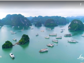 Google quảng bá văn hóa và du lịch Việt Nam