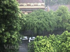 Khu vực Trung Bộ, Tây Nguyên và Nam Bộ chủ động ứng phó với mưa lớn