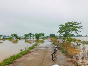 Bình Thuận: Mưa lớn gây lũ quét và sạt lở đất, thiệt hại gần 1 tỷ đồng