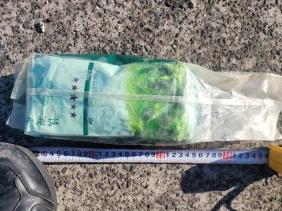 Hàn Quốc: Nhiều gói ma túy dạng gói trà trôi dạt vào đảo Jeju