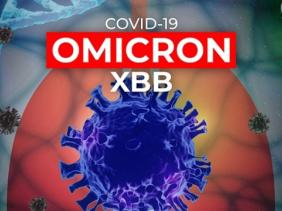 Bộ Y tế: Biến thể XBB xuất hiện tại TP.HCM và Tây Ninh