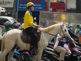 Xử phạt người đàn ông cưỡi ngựa "dạo phố" giữa trung tâm TP Hồ Chí Minh