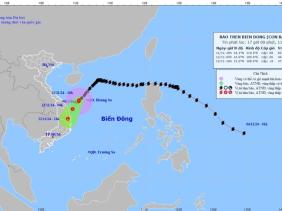 Bão số 7 mạnh cấp 8, giật cấp 10, áp sát vùng biển Quảng Nam - Bình Định