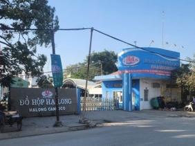 Bắt Tổng Giám đốc Công ty cổ phần đồ hộp Hạ Long