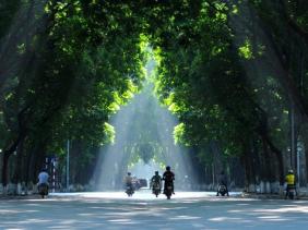 Thời tiết ngày 12/4: Hà Nội có sương mù nhẹ rải rác, trưa chiều hửng nắng