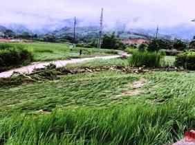 Mưa lớn làm ngập hỏng nhiều nhà dân ở Lào Cai