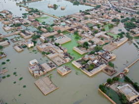 Bị lũ lụt tàn phá, Pakistan đối mặt với khủng hoảng lương thực