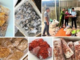Phát hiện, thu giữ 4 tấn thực phẩm không rõ nguồn gốc ở Thanh Hóa