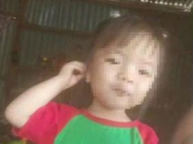 Vụ bé gái 2 tuổi mất tích ở Lâm Đồng: Huy động khoảng 100 người tìm kiếm, chưa có kết quả