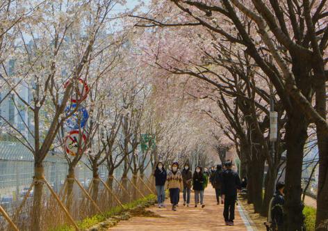 Hàn Quốc sẽ nới lỏng chính sách visa cho khách Việt