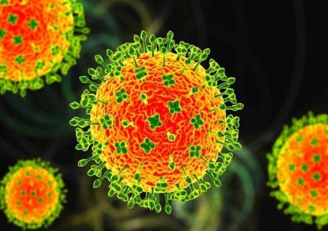 Căn bệnh khiến Thái Lan cảnh báo khẩn: Bộ Y tế khuyến cáo người dân 8 biện pháp phòng chống