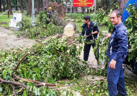 Cảnh báo mưa dông tại TP.HCM và gió biển giật cấp 8, sóng cao tới 4m