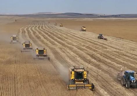 Nguy cơ thiếu hụt lương thực toàn cầu do xung đột Iran