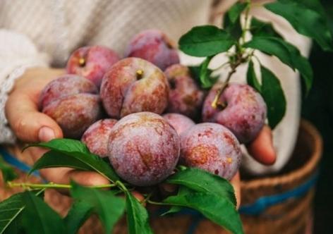 Loại quả "ai cũng mê" mỗi mùa hè: Ngon, bổ, rẻ nhưng 5 nhóm người cần hạn chế ăn