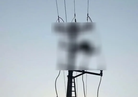 Phát hiện thi thể nam sinh lớp 8 trên cột điện ở Nghệ An: Xác định danh tính nạn nhân