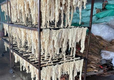 Phát hiện hơn 55 tấn lòng, dạ dày và chân gà không rõ nguồn gốc trong kho một doanh nghiệp ở Hải Phòng