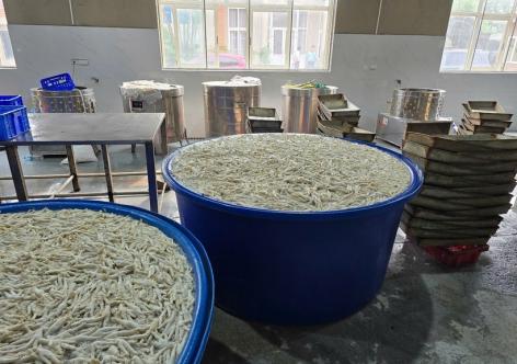 Cận cảnh hơn 13 tấn chân gà ngâm chất tẩy trắng H2O2 ở Thanh Hóa