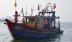 Hà Tĩnh: Liên tiếp bắt giữ 8 thuyền đánh cá bằng giã cào
