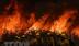 Mỹ: Bang California đối mặt mùa cháy rừng ngay sau mùa Đông ẩm ướt