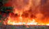 Nguyên nhân cháy rừng kinh hoàng hoành hành khắp châu Âu