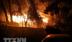 Mỹ: Đám cháy rừng vượt tầm kiểm soát tại bang Oregon