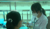 TP. Hồ Chí Minh: 75% bệnh nhân tử vong do sốt xuất huyết là người lớn