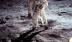Đấu giá bức ảnh gốc “đi trên Mặt Trăng” nổi tiếng năm 1969