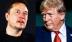 Ông Trump nói khi còn là Tổng thống Mỹ từng giúp đỡ tỉ phú Elon Musk