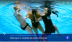 VĐV bơi suýt chết ở giải vô địch thế giới