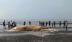 Một phần xác cá voi khổng lồ trôi dạt vào bờ biển Nghệ An